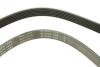 FB6PK1653 Ремень генератора Ford Escort 1.4-1.8 92-00/Renault Laguna 1.8 93-01/VW Golf II/Passat B3/B4 88-97 INA підбір по vin на Brocar