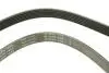 FB6PK1653 Ремінь генератора Ford Escort 1.4-1.8 92-00/Renault Laguna 1.8 93-01/VW Golf II/Passat B3/B4 88-97 INA підбір по vin на Brocar