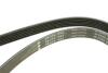 FB6PK1653 Ремень генератора Ford Escort 1.4-1.8 92-00/Renault Laguna 1.8 93-01/VW Golf II/Passat B3/B4 88-97 INA підбір по vin на Brocar