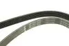 FB6PK1653 Ремінь генератора Ford Escort 1.4-1.8 92-00/Renault Laguna 1.8 93-01/VW Golf II/Passat B3/B4 88-97 INA підбір по vin на Brocar
