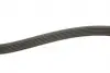 FB6PK1705 Ремінь генератора Citroen Berlingo 1.6HDI 06-/Fiat Ducato/Doblo 2.0D 10-/Scudo 1.6D 07- (6PK1705) INA підбір по vin на Brocar