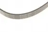 FB6PK1705 Ремінь генератора Citroen Berlingo 1.6HDI 06-/Fiat Ducato/Doblo 2.0D 10-/Scudo 1.6D 07- (6PK1705) INA підбір по vin на Brocar