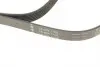 FB6PK1705 Ремінь генератора Citroen Berlingo 1.6HDI 06-/Fiat Ducato/Doblo 2.0D 10-/Scudo 1.6D 07- (6PK1705) INA підбір по vin на Brocar