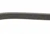 FB6PK1800 Ремень генератора Opel Combo/Astra/Vectra/Omega 1.2-2.2 91-03/BMW 1 (E81/E87) 2.0D 04-11 INA підбір по vin на Brocar