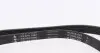 FB6PK1880 Ремень генератора VW Passat/Audi A4 2.4/2.6/2.8 95- INA підбір по vin на Brocar
