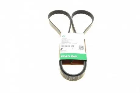 FB6PK1893 Ремень генератора Ford Focus 1.4/1.6 98-05/Toyota Rav4 1.8 00-05/Daewoo Nubira 1.8/2.0 99- INA подбор по vin на Brocar