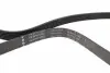 FB6PK1930 Ремінь генератора Audi A8 3.0i 03-06/Lexus GS/IS 3.0/3.5 00-11/Ford Fiesta 1.25-1.6 94-02 INA підбір по vin на Brocar