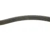 FB6PK2490 Ремень генератора Audi A4/A6/A8/Q7 2.7/3.0TDI 04- (6PK2490) INA підбір по vin на Brocar