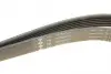 FB6PK2870 Ремень генератора Jeep Cherokee/Liberty 2.5/2.8 CRD 01- (6PK2870) INA підбір по vin на Brocar