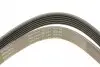 FB6PK2870 Ремень генератора Jeep Cherokee/Liberty 2.5/2.8 CRD 01- (6PK2870) INA підбір по vin на Brocar