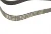 FB7PK1867 Ремень генератора Land Rover Discovery/Range Rover 2.5 Td5/3.9-4.6 93-04 (7PK1867) INA підбір по vin на Brocar