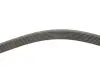 FB7PK1933 Ремінь генератора Toyota Camry/Avensis/RAV4 2.0/2.4 00-/Land Cruiser Prado 3.0D 00- INA підбір по vin на Brocar