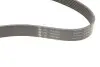 FB7PK1933 Ремінь генератора Toyota Camry/Avensis/RAV4 2.0/2.4 00-/Land Cruiser Prado 3.0D 00- INA підбір по vin на Brocar