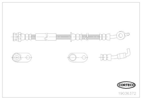 19036372 Тормозной шланг CORTECO підбір по vin на Brocar
