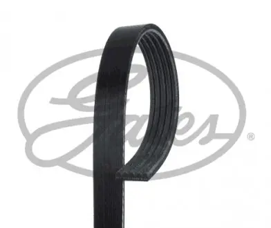 5PK1770 Ремінь поліклиновий GATES 5PK1770 MITSUBISHI COLT 1,5 DI-D 04-12 GATES підбір по vin на Brocar