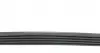 AD05R810 Ремінь генератора BMW 3 (E46)/ X5 (E53)/ 5 (E39) 2.5D-3.0D 98-06/ Land Rover Range Rover 3.0 D 02-12 BLUE PRINT підбір по vin на Brocar