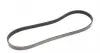 AD05R906 Ремень генератора BMW 5 (E39) 520i/523i/528i 90-/Hyundai XG 3.0-3.5 98-05/ Mitsubishi Colt 1.5 05-12 BLUE PRINT підбір по vin на Brocar