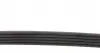 AD05R935 Ремінь генератора Honda Accord 2.0 EX -97/ Honda Legend 3.5 96-97/ Toyota Echo 1.4 D-4D 01-05 BLUE PRINT підбір по vin на Brocar
