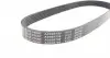 AD06R780 Ремінь генератора Citroen C4/ Peugeot 307 1.6HDi 04-/ Toyota Echo/ Yaris 1.0-1.3 99- (6PK780) BLUE PRINT підбір по vin на Brocar
