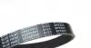 AD06R805 Ремень генератора Citroen Berlingo/Peugeot Partner 1.6HDI/ Ford Fiesta/ Focus 1.4-1.6 TDCi 01- BLUE PRINT підбір по vin на Brocar
