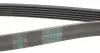 6PK1930 Ремінь генератора Audi A8 3.0i 03-06/Lexus GS/IS 3.0/3.5 00-11/Ford Fiesta 1.25-1.6 94-02 CONTITECH підбір по vin на Brocar