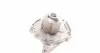 CT1035WP2 Комплект ГРМ + помпа Renault Clio/Kangoo/Megane/Scenic 01-/Nissan Kubistar 1.5dCi 03- (27x123z) CONTITECH підбір по vin на Brocar