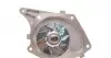 CT1035WP2 Комплект ГРМ + помпа Renault Clio/Kangoo/Megane/Scenic 01-/Nissan Kubistar 1.5dCi 03- (27x123z) CONTITECH підбір по vin на Brocar