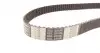 CT1035WP2 Комплект ГРМ + помпа Renault Clio/Kangoo/Megane/Scenic 01-/Nissan Kubistar 1.5dCi 03- (27x123z) CONTITECH підбір по vin на Brocar