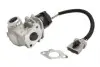 Клапан повернення О. Г. Focus II 1.6 TDCi EG10435-12B1
