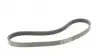 6PK1059ELASTT2 Ремінь генератора Ford Focus 1.4/1.6i 03-/Volvo C30/S40/V50 1.6 05-12 (6PK1059 ELAST+5PK868 ELAST) CONTITECH підбір по vin на Brocar