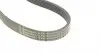 6PK1059ELASTT2 Ремінь генератора Ford Focus 1.4/1.6i 03-/Volvo C30/S40/V50 1.6 05-12 (6PK1059 ELAST+5PK868 ELAST) CONTITECH підбір по vin на Brocar