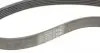 6PK1059ELASTT2 Ремінь генератора Ford Focus 1.4/1.6i 03-/Volvo C30/S40/V50 1.6 05-12 (6PK1059 ELAST+5PK868 ELAST) CONTITECH підбір по vin на Brocar
