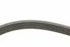 6PK1440K1 Комплект ремня генератора Citroen Berlingo/Jumpy/Fiat Scudo/Peugeot Partner/306/Expert 1.9D 98-15 CONTITECH підбір по vin на Brocar