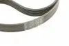 6PK1440K1 Комплект ремня генератора Citroen Berlingo/Jumpy/Fiat Scudo/Peugeot Partner/306/Expert 1.9D 98-15 CONTITECH підбір по vin на Brocar