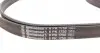 6PK1750K1 Комплект ременя генератора Citroen Berlingo/Peugeot Partner 2.0HDI 99-11/Renault Kangoo/Clio 1.6 01- CONTITECH підбір по vin на Brocar