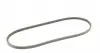 119X965LD Ремінь генератора VW T2/T4 1.7-2.0 71-03/Golf II 1.6D/TD 83-91 (11.9x965) CONTITECH підбір по vin на Brocar