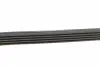 5PK1135K2 Комплект ременя генератора Renault Clio/Megane/Scenic/Nissan Almera/Micra/Kubistar 1.5 dCi 03- CONTITECH підбір по vin на Brocar
