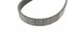 5PK1135K2 Комплект ременя генератора Renault Clio/Megane/Scenic/Nissan Almera/Micra/Kubistar 1.5 dCi 03- CONTITECH підбір по vin на Brocar