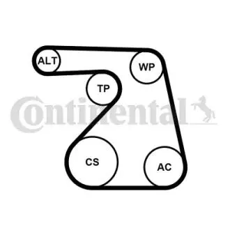 6PK1217K2 ZESTAW PASKA PK /CONTI/ CONTITECH підбір по vin на Brocar