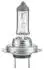 8GH217337101 Лампа розжарювання, H18 12V 65W, Standard HELLA підбір по vin на Brocar