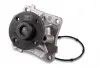 P131 Помпа воды Mitsubishi Colt 1.1/1.3/1.5 04-12/Lancer VIII 1.5-1.6 08-/Citroen C4 1.6 12- HEPU підбір по vin на Brocar