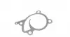 P7388 Помпа води Renault Clio/Scenic/Megane/Kangoo/Nissan Qashqai/Juke 0.9-1.2-1.4TCe/1.6 09- HEPU підбір по vin на Brocar