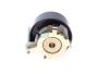 KBIOWP020 Комплект ГРМ + помпа Ford Focus III/Transit Courier 1.0-1.1 12- DAYCO підбір по vin на Brocar