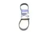 Ремінь генератора Fiat Punto/Stilo 1.9 JTD 99-06 (6PK813) 813 K 6