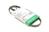 FB4PK800 PASEK WIELOROWK. 4PK800 INA підбір по vin на Brocar