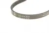 FB4PK800 PASEK WIELOROWK. 4PK800 INA підбір по vin на Brocar