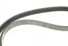 FB4PK825 Ремень генератора Suzuki Swift 1.0i 95-05/ Honda Civic 1.4-1.6 94-01/ Nissan Primera1.6-2.0 96-02 INA підбір по vin на Brocar