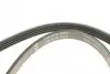 FB4PK825 Ремень генератора Suzuki Swift 1.0i 95-05/ Honda Civic 1.4-1.6 94-01/ Nissan Primera1.6-2.0 96-02 INA підбір по vin на Brocar