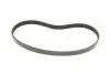 FB5PK813 Ремень генератора BMW 3 (E46)/X5 (E53)/5 (E39) 2.5D/3.0D 98-06 (5PK813) M57 D30 INA підбір по vin на Brocar