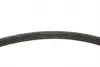 FB5PK813 Ремень генератора BMW 3 (E46)/X5 (E53)/5 (E39) 2.5D/3.0D 98-06 (5PK813) M57 D30 INA підбір по vin на Brocar